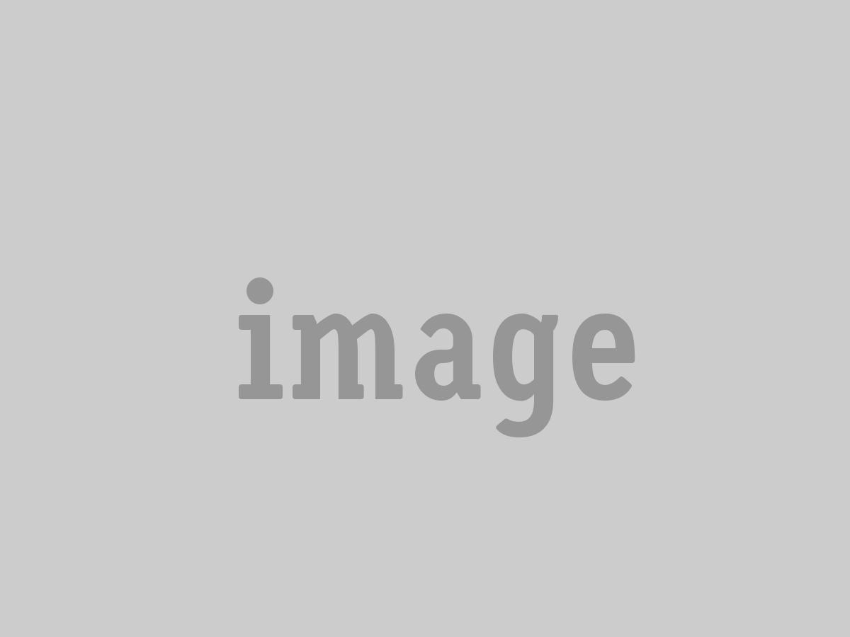 img-875x442-01